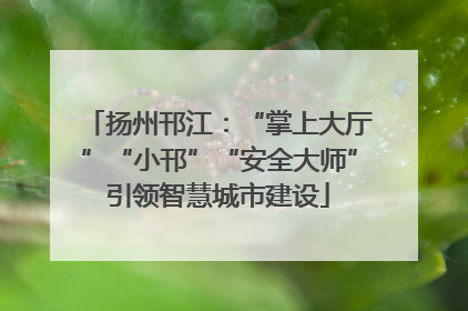 扬州邗江：“掌上大厅”“小邗”“安全大师”引领智慧城市建设